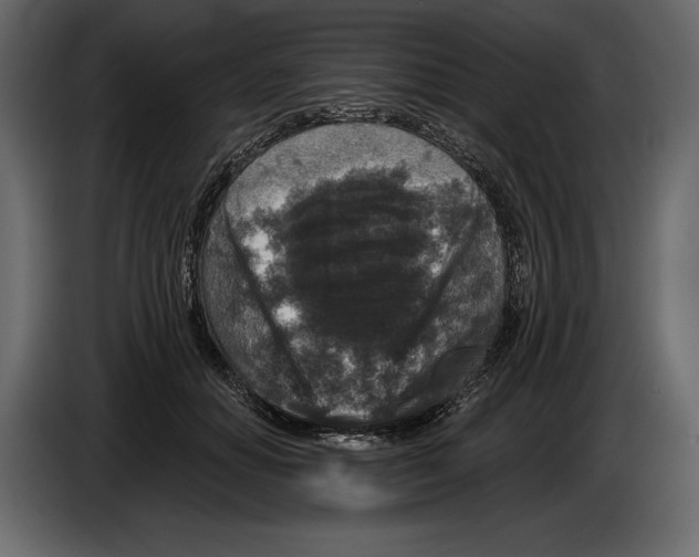 X0000084560654200703231800