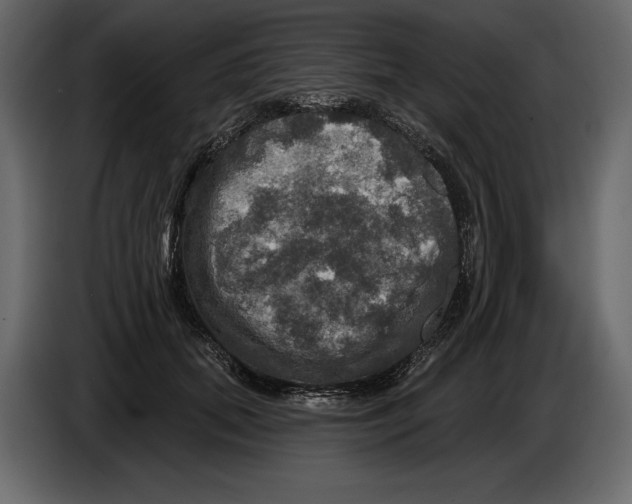 X0000084560655200703231800