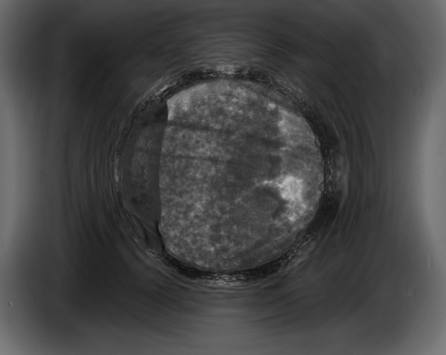 X0000084560656200703231800