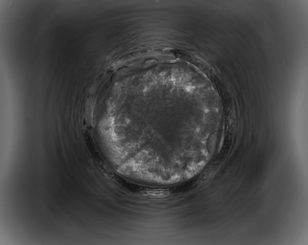 X0000084560659200703231800