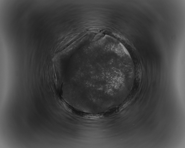 X0000084560661200703231800