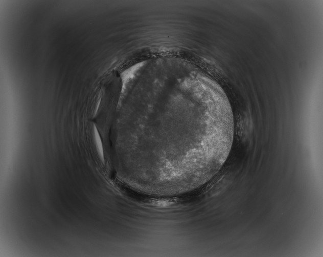 X0000084560662200703231800