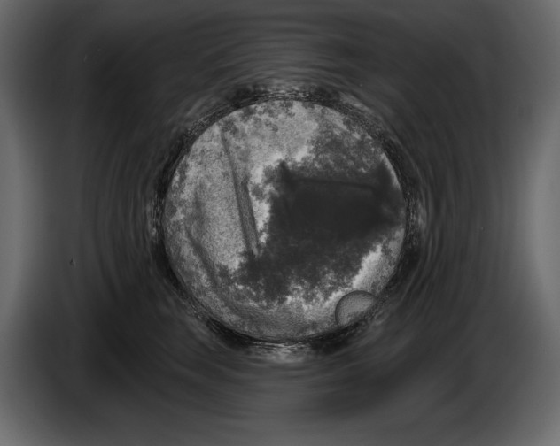 X0000084560663200703231800