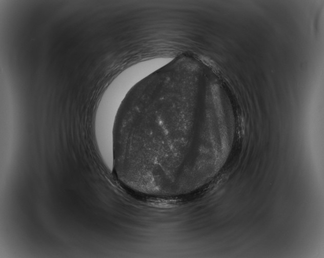 X0000084560664200703231800