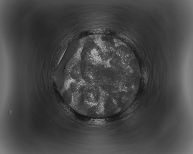 X0000084560665200703231800