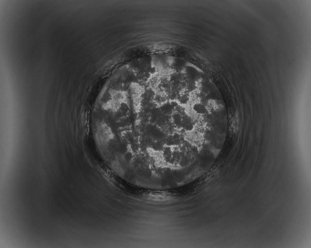 X0000084560666200703231800