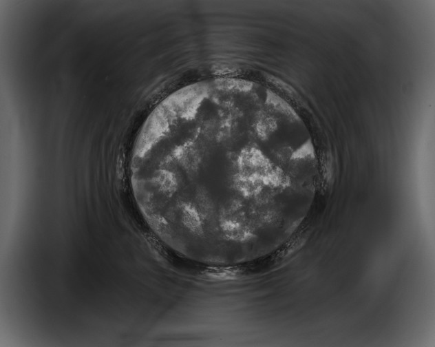 X0000084560667200703231800