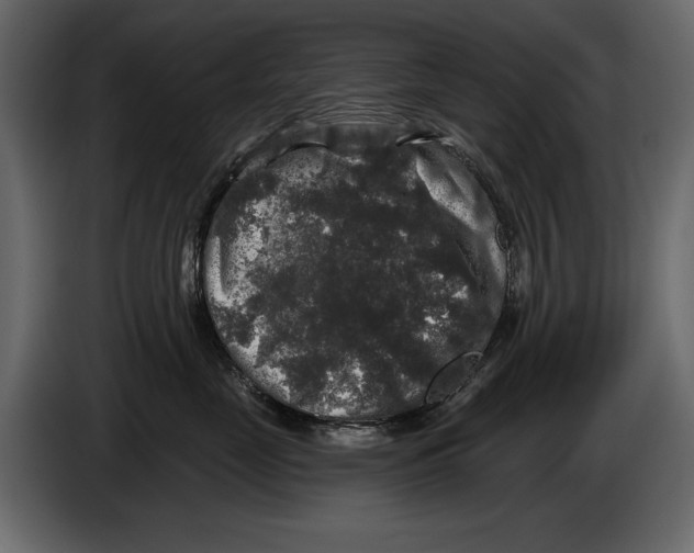 X0000084560669200703231800