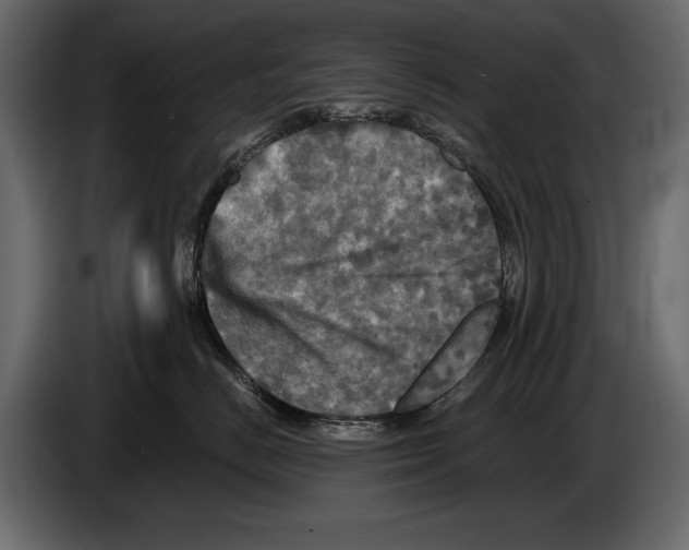 X0000084560670200703231800