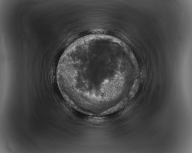 X0000084560671200703231800