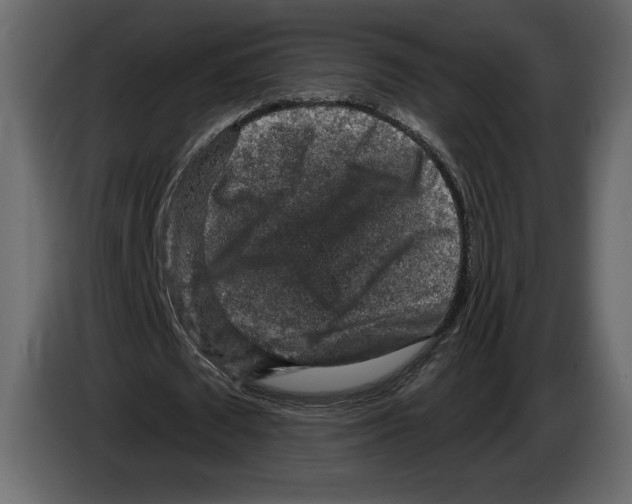 X0000084560673200703231759