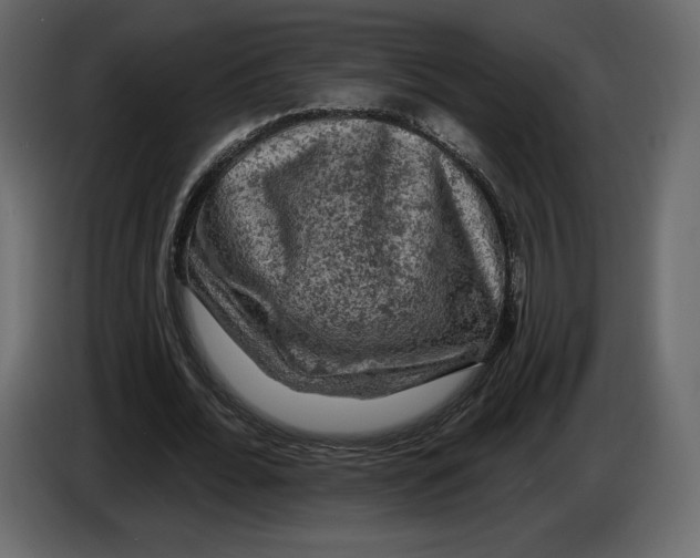 X0000084560676200703231759