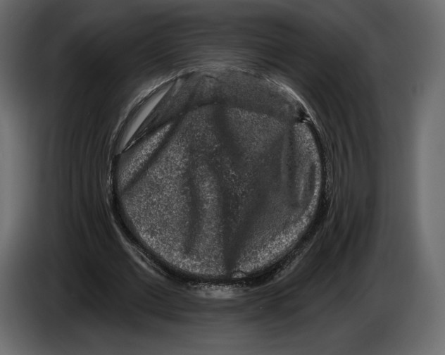 X0000084560677200703231759