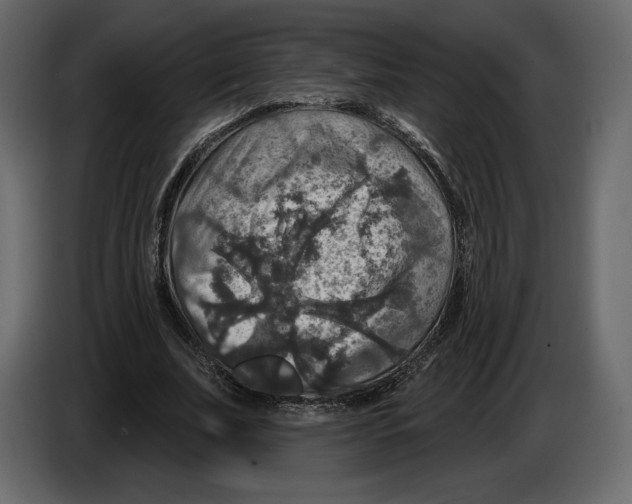 X0000084560679200703231759