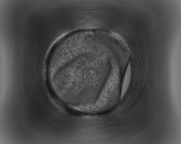 X0000084560680200703231759