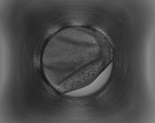 X0000084560681200703231759