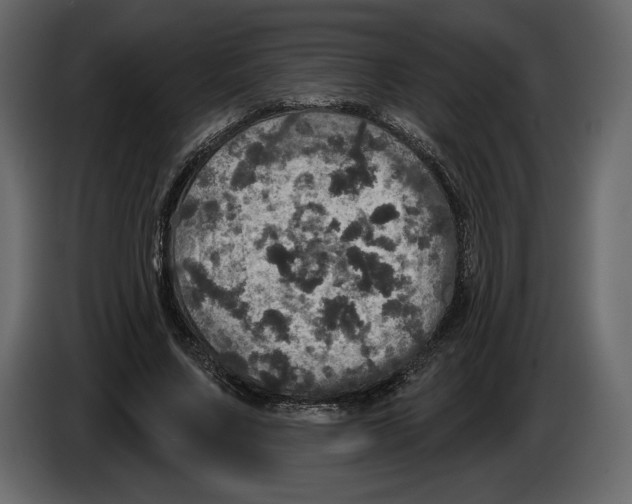 X0000084560683200703231759