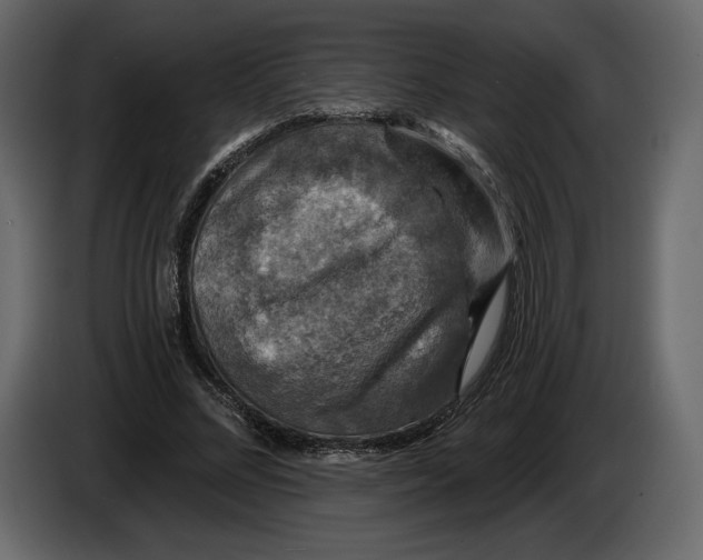 X0000084560684200703231759