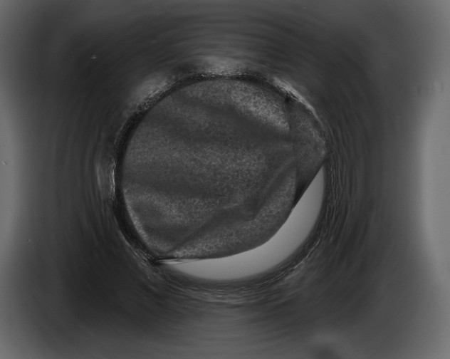 X0000084560685200703231759