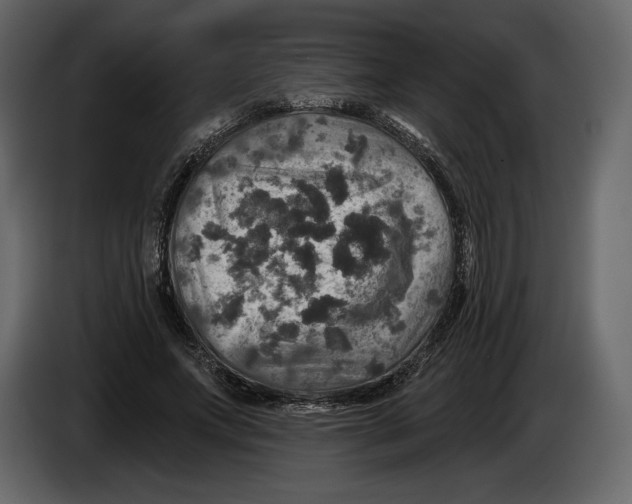 X0000084560687200703231759