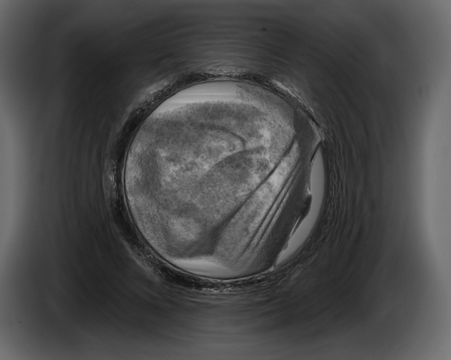 X0000084560688200703231759