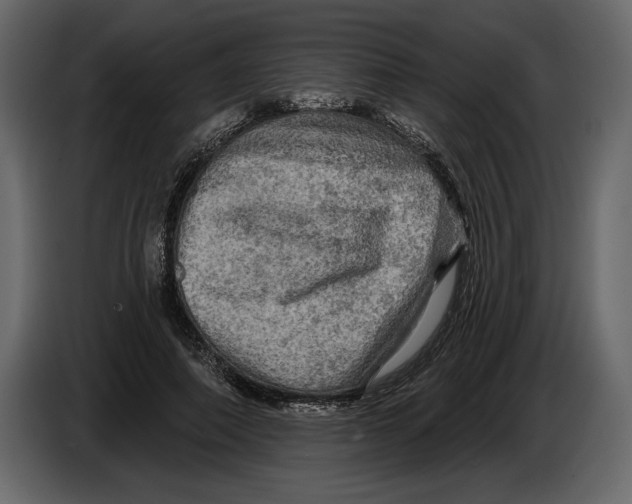 X0000084560690200703231759