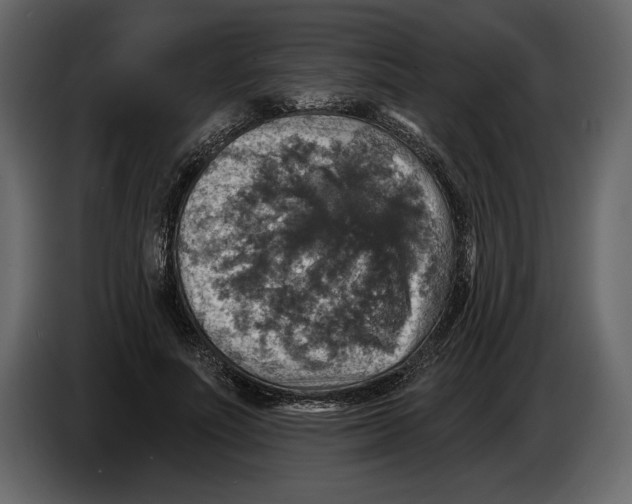 X0000084560691200703231759