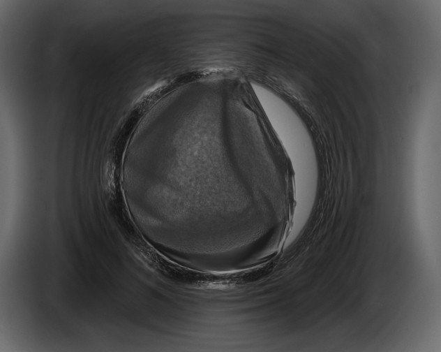 X0000084560692200703231759