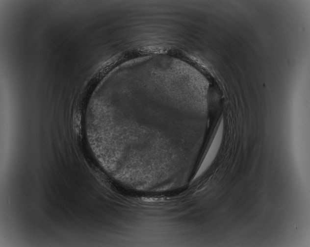 X0000084560693200703231759