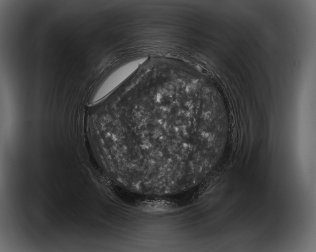 X0000084560695200703231759