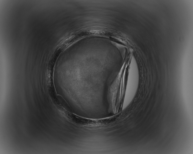 X0000084560696200703231759