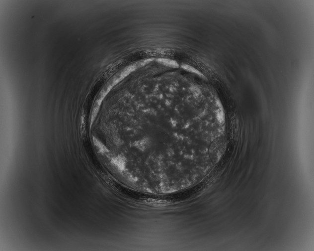 X0000084560699200703231759