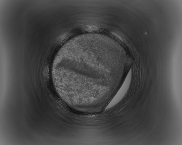 X0000084560700200703231759