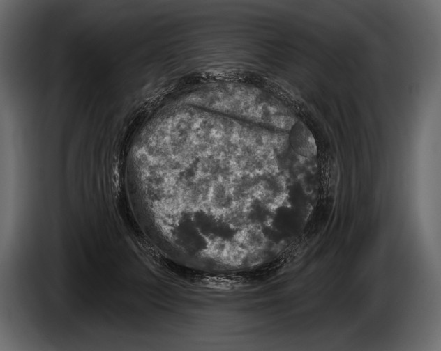 X0000084560703200703231759