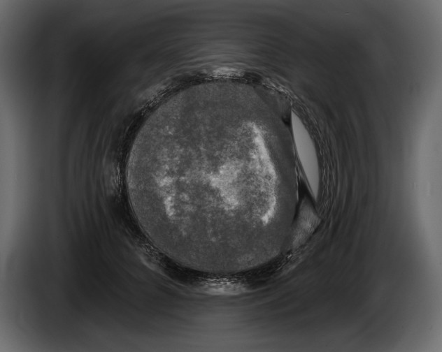 X0000084560704200703231759