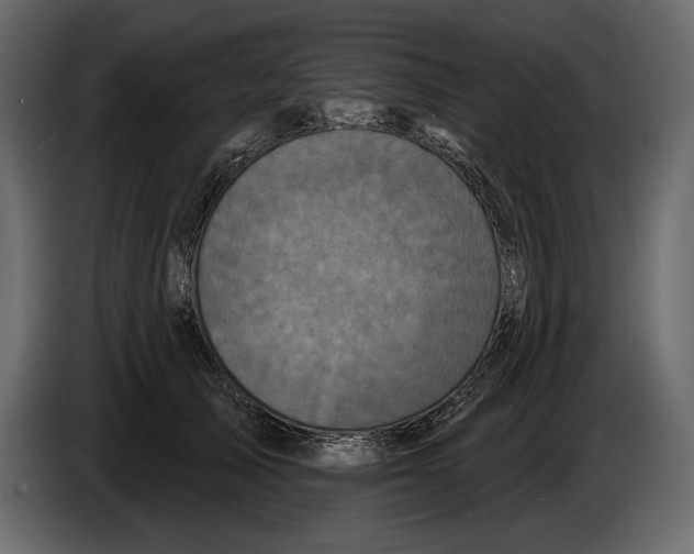 X0000084560705200703231759