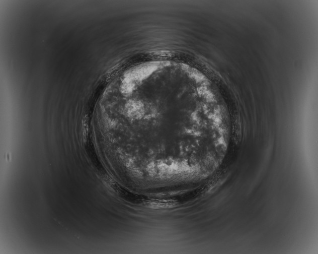 X0000084560707200703231759