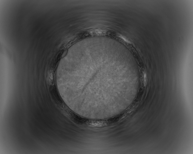 X0000084560709200703231758