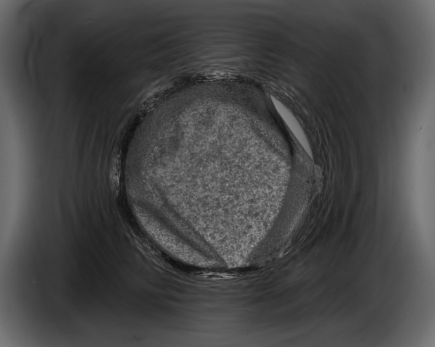 X0000084560710200703231758