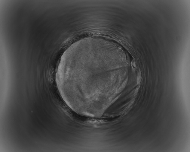 X0000084560712200703231758