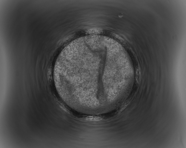 X0000084560714200703231758