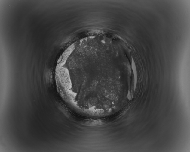 X0000084560715200703231758