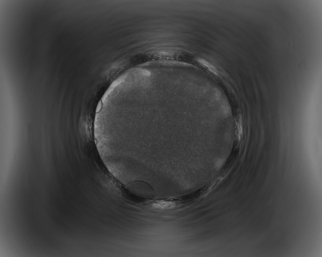 X0000084560718200703231758