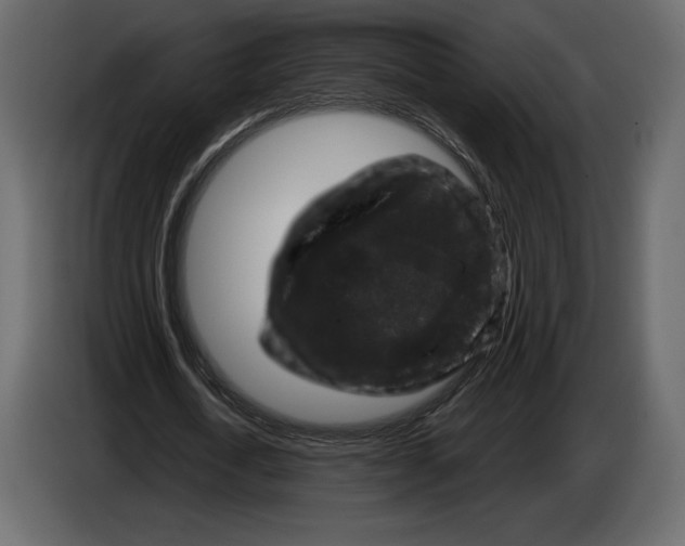 X0000084560722200703231758