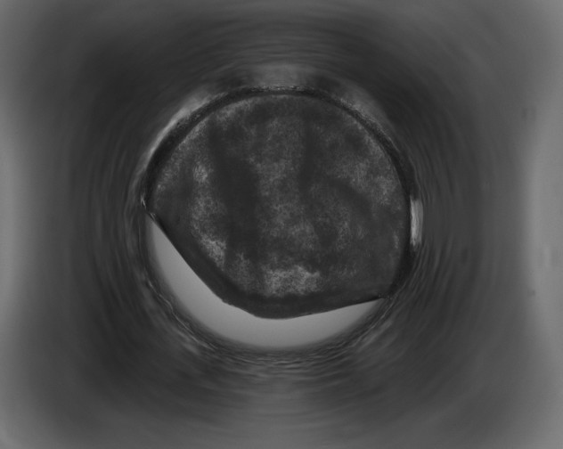 X0000084560723200703231758