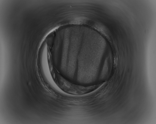 X0000084560724200703231758