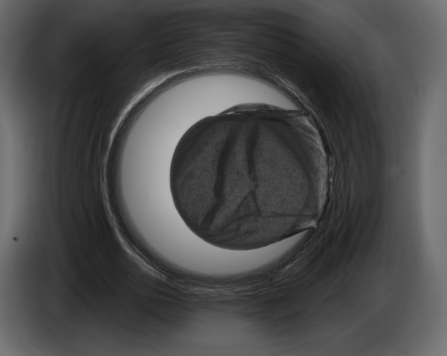 X0000084560726200703231758