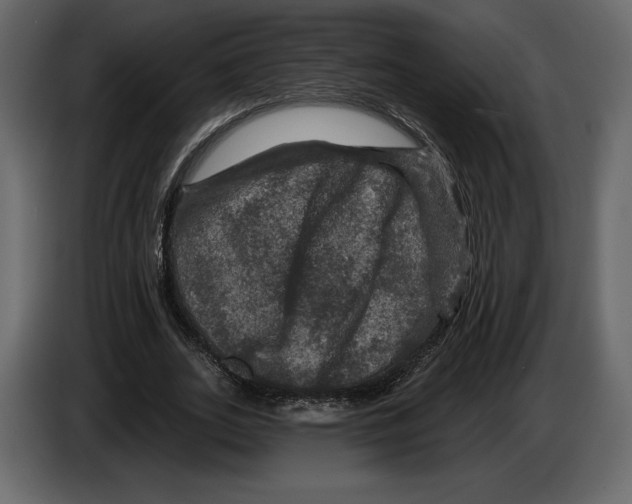 X0000084560727200703231758