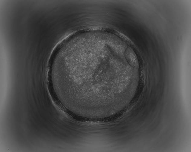 X0000084560730200703231758