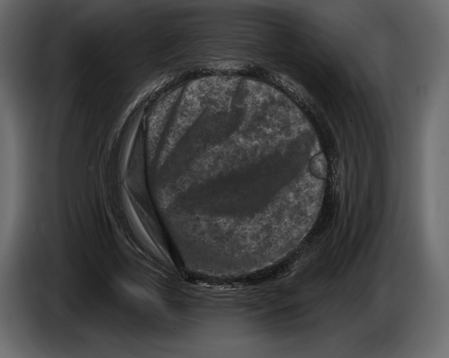 X0000084560731200703231758